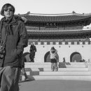 평화로운세상 이미지