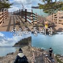 군산 애견 동반 여행 가볼 만한 곳 추천 선유도 둘레길 해변데크