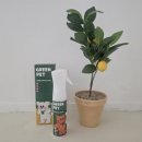 그린펫동물병원 이미지