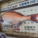경동레저