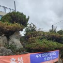 흑섬 | 제주동쪽 양념갈비살 가성비맛집추천 흑섬 내돈내산후기 (+ 포장