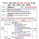나우플러스투어