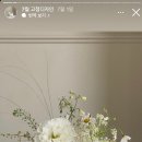 포레스트모리토키 이미지