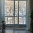 영화아파트 이미지