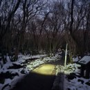 사계흑돼지산방