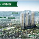 유림-19 Daum카페