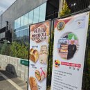 포레스트스크린 | 대구 달성군 화원읍 감성 베이커리 카페 "포레스트 헤리티지" 후기