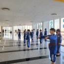연세경인태권도 이미지