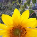 너랑나랑여관 이미지