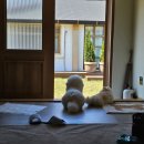 마롱스테이 이미지