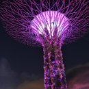 마리포사호텔 이미지