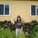 소섬바당 | 우도 게스트하우스 소섬바당 감성 가득 숙소!