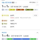 물음mulum