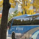 연세엘의원 | 10월의 산책들, 기쁨을 만나러 가자