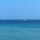 또바기국수 이미지