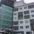 자매닭집 이미지