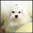 산과여울 이미지