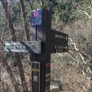 제596차(12기-20차/18.03.17) 합천 감암산(834m)~부암산 정기산행 이미지