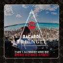 트라이앵글럼 이미지