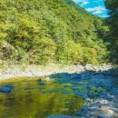 하옥계곡별빛민박 이미지