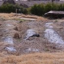 강남공인중개사사무소 이미지