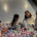 용인대석사명품태권도 이미지