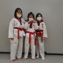 청록태권도장 이미지