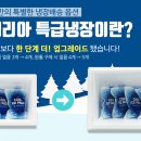 여니플로라 이미지