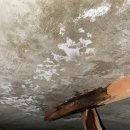 국제백양 | 🛠 부산 국제백양아파트 욕실 누수 점검 및 방수 시공 후기