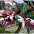 까치울역 2번 출구 이미지