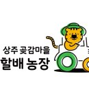 호랭이농장 이미지