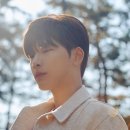 다시 봄 이미지