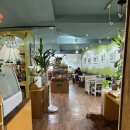 보타니컬 꽃 식물 드로잉 | 부산 부산대 | 이색데이트 고양이, 그림, 식물이 있는 드로잉 카페 "아가미"