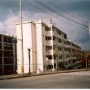 코렉스마트주