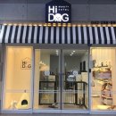 Hi - 도그 이미지