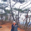 서여주(양평) | 유명&amp;용문산 연계산행(선어치고개~소구니산~유명산~배너미고개~장군봉삼거리~용문산~마당바위삼거리...