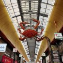 횡성시장약국 | 일본여행 2일차, 일본 오사카 구로몬시장 24시간 영업하는 나카가와 마트, 식재료 구입 후기
