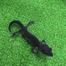 더렙컴퍼니