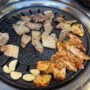회식의달인