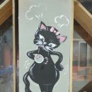 도그스타 이미지