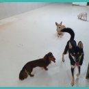 바우밸리 이미지