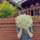 사림동197 이미지