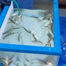 충무 행정사 이미지