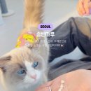 솔빈마루 이미지