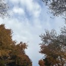 지리산 | 전라남도 구례군 지리산 노고단 등산 후기