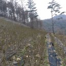 선해농장 이미지