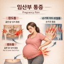 황제세탁소 | [35주] 길고도 짧았던 임신기간 여러 가지 일들
