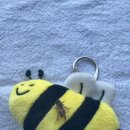 Even bees are fans of our Ji-won! 🐝💛 이미지