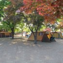 임진강리조트 이미지