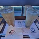 크린카 | 여수 여행 코스 추천, 해상 케이블카 왕복 후기-크린라이트